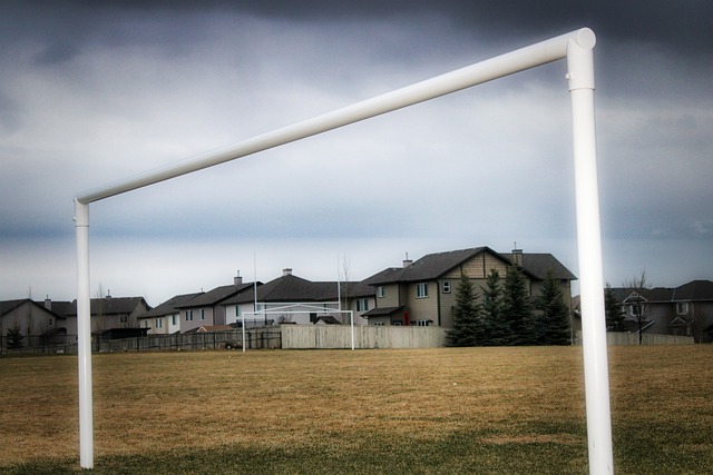 篮板比以 篮板比以