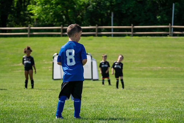 皇家马德里 皇家马德里