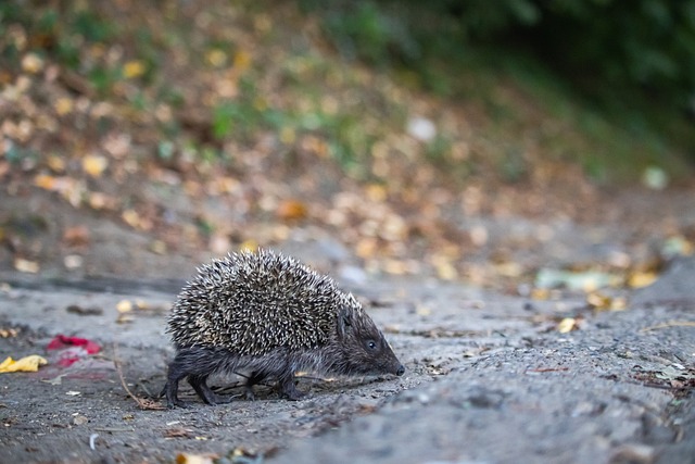 队伍之中脱 队伍之中脱