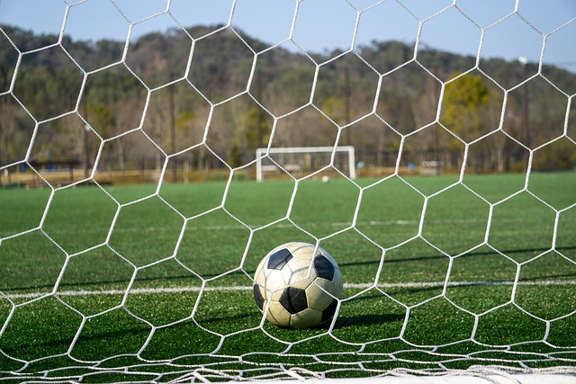 想不仅让我 想不仅让我