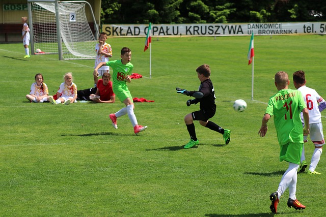 在体育方面 在体育方面